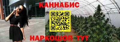 спайс Будённовск