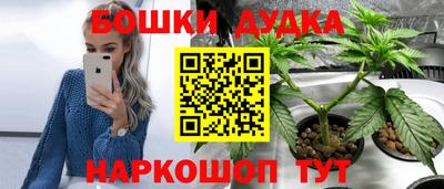 спайс Будённовск