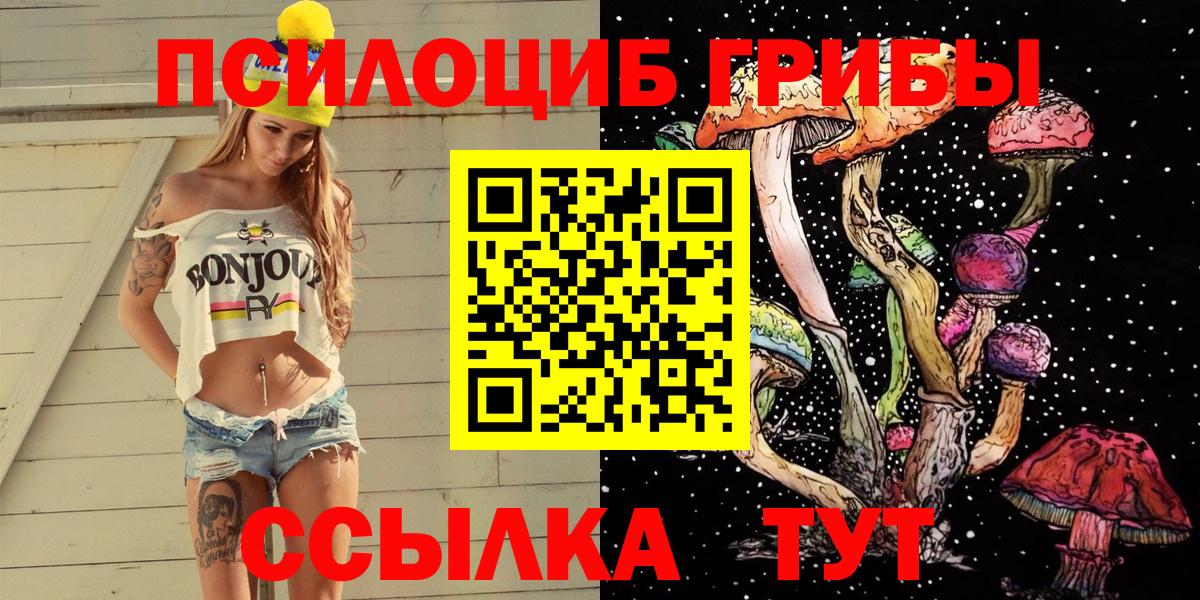 Галлюциногенные грибы Psilocybine cubensis Сердобск