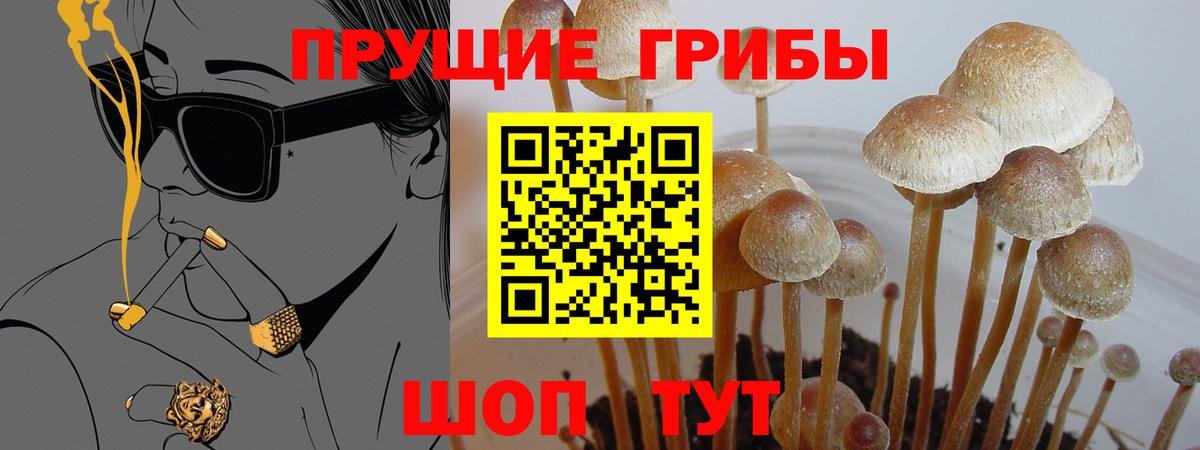 наркота  Вход с VPN  Сердобск  Псилоцибиновые грибы MAGIC MUSHROOMS 